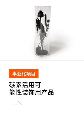 탄소소재 활용 기능성 인테리어제품